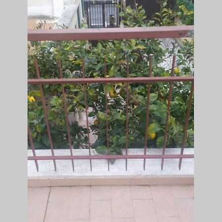 Appto Limone Daire Lido di Ostia Dış mekan fotoğraf