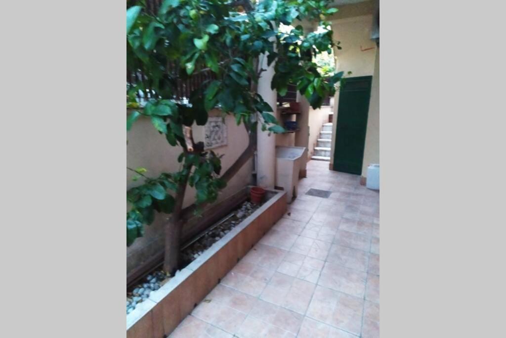 Appto Limone Daire Lido di Ostia Dış mekan fotoğraf